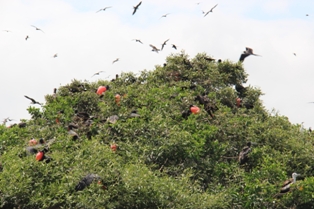 Ecuador Reisen Canoa und Isla Corazon